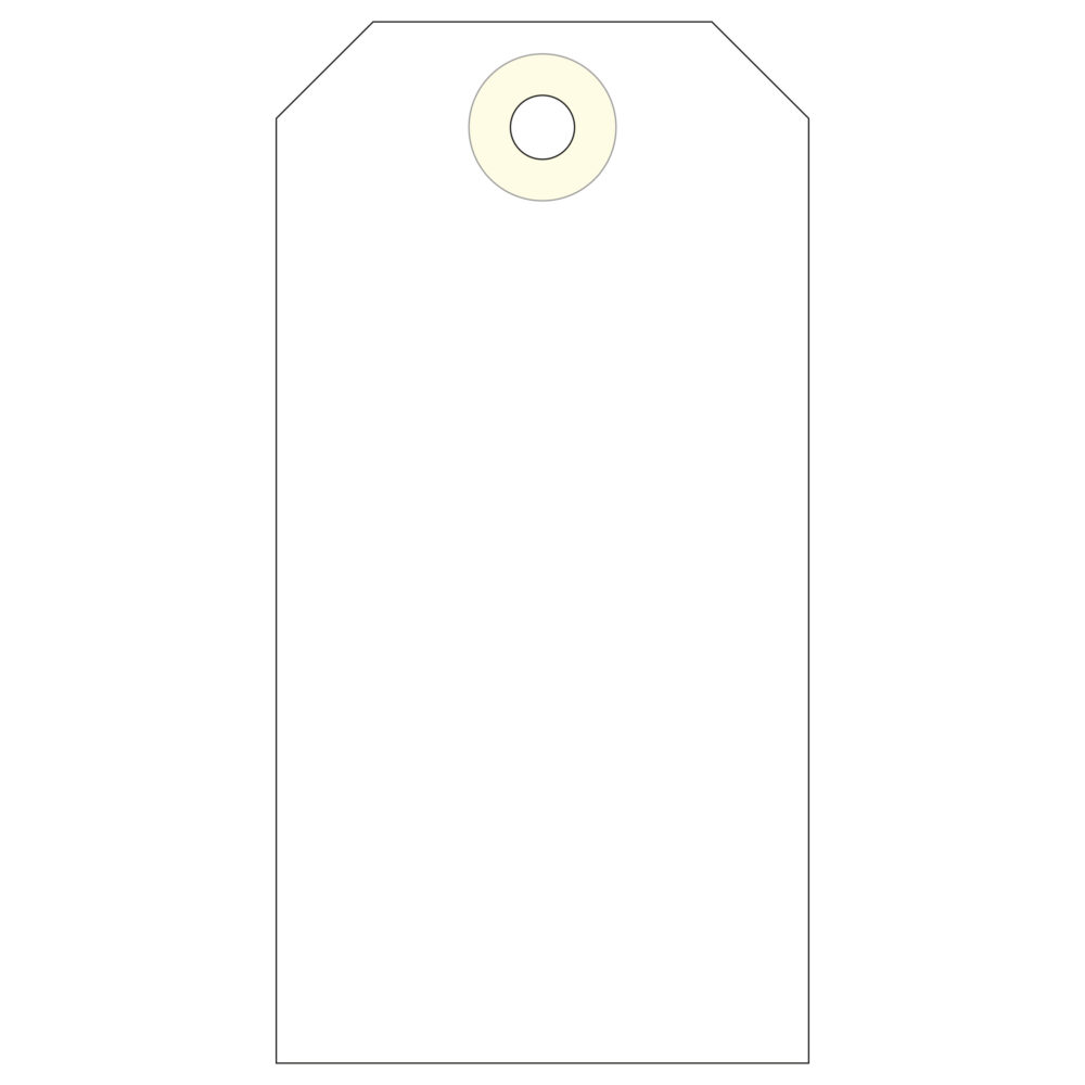Apli Etiquetas con Arandela 100 x 51mm 1.000 U.